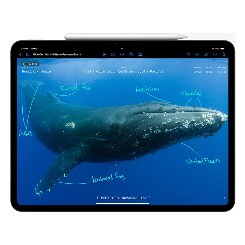 Tablet iPad Pro 13 Pulgadas 7 Generacion Frontal